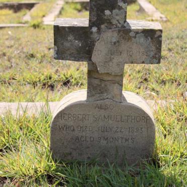 THORP Herbert Samuel -1895 :: THORP ?ai -18??