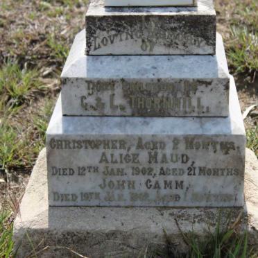 THORNHILL Christopher :: THORNHILL Alice Maud -1902 :: THORNHILL John Camm
