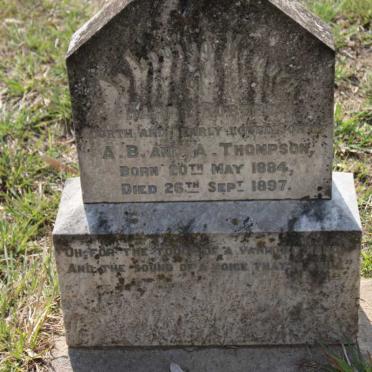 THOMPSON Henry Robert 1884-1897