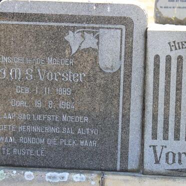 VORSTER J.M.. 1884-1954 &amp; J.M.S. 1889-1964