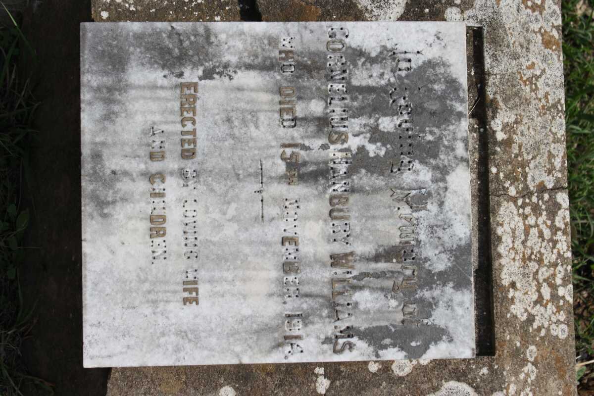 WILLIAMS Cornelius Hanbury -1914