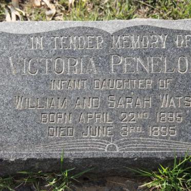 WATSON Victoria Penelope 1895-1895
