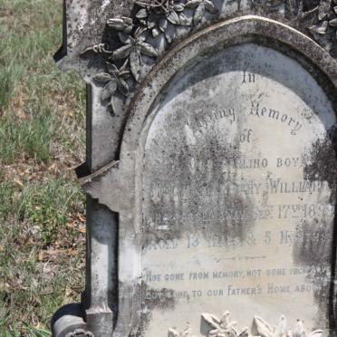 WILLIAMS Hugh Hanbury -1899