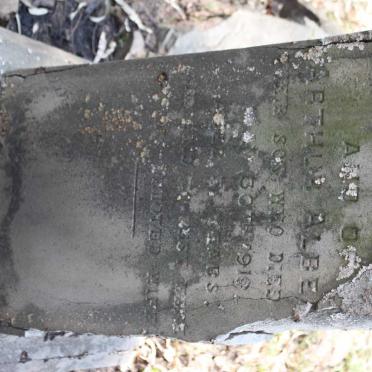 ? Arthur Albert -1919