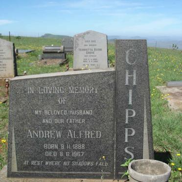 CHIPPS Andrew Alfred 1888-1967