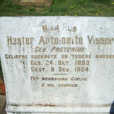 V - Vanne :: Surnames - V