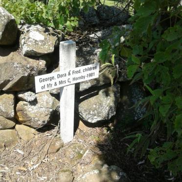 HORNBY George :: HORNBY Dora :: HORNBY Fred -1901