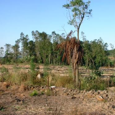 1. Overview / Oorsig