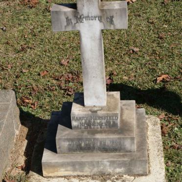 MACKENZIE Harry Mansfield  -1908