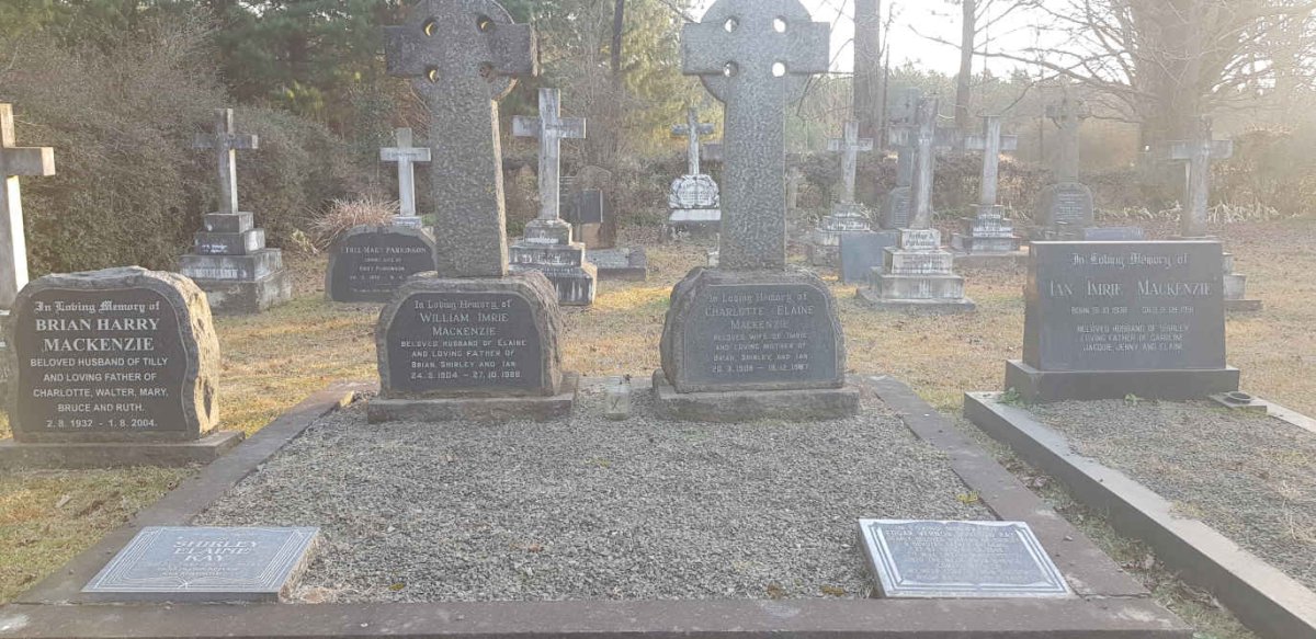 7. Overview MACKENZIE plot