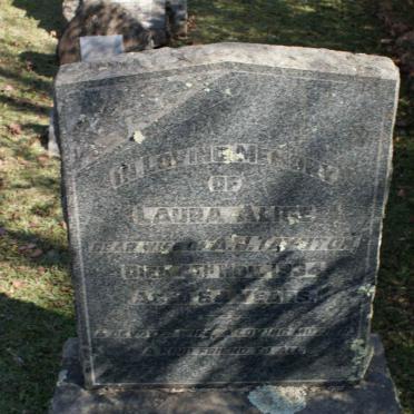 TAYNTON Laura Alice -1934