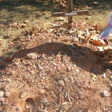 STILLIES Lindsay John 1942-2009