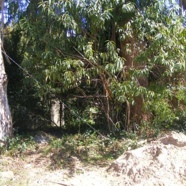 7. Overview on graves