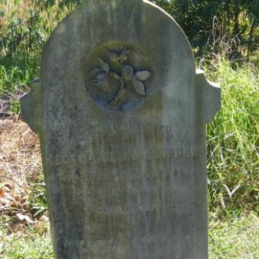 PLUMMER George William - 1917