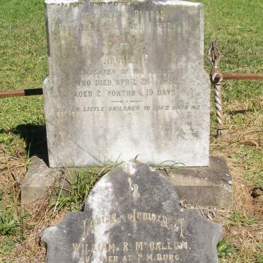 McCALLUM William R -1891 :: McCALLUM ? -1890 :: McCALLUM Annie -1892