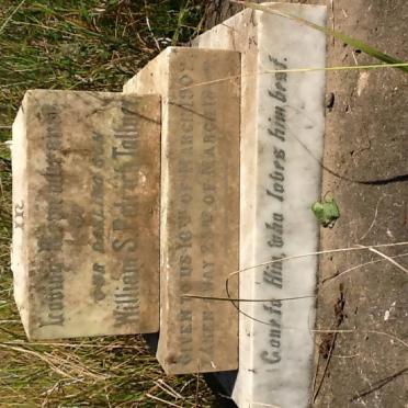 TOLLNER William S. Patrick 1902-1902