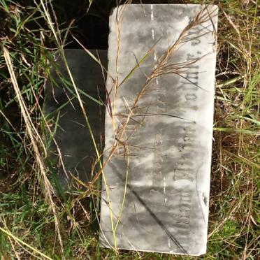 TOLLNER Frances Mary Garrard Manisty -1898