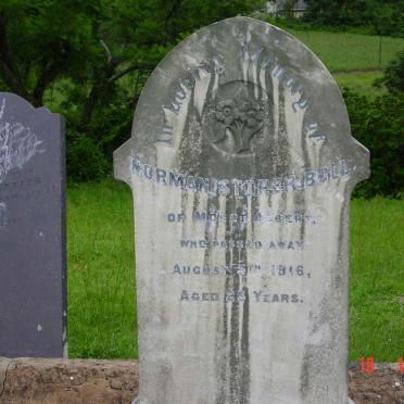 BULL Norman Storer  -1916