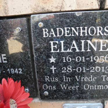 BADENHORST Elaine 1956-2013