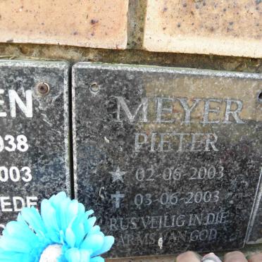 MEYER Pieter 2003-2003