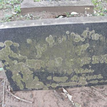 BARRETT Herbert Lewis 1902