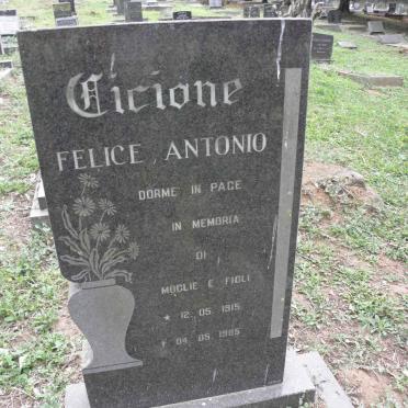 CICIONE Felice Antonio 1915-1985