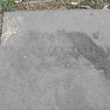 CALLARD Denis Gilbey 1901-1978