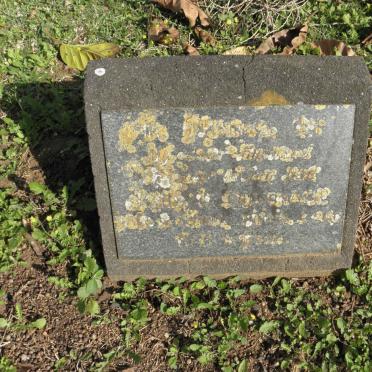 DUVENAGE John 1915-1960