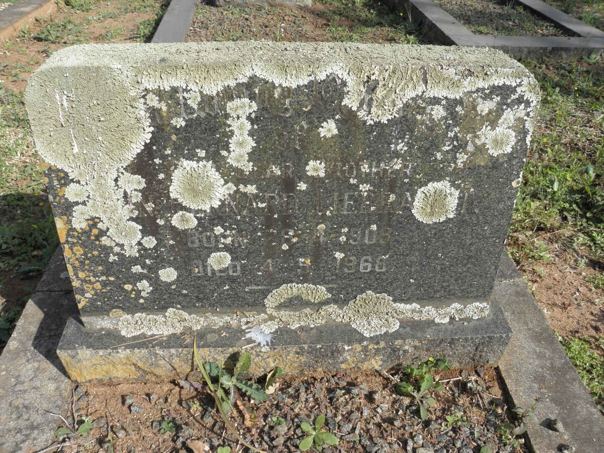 LIEBRANDT Bernard 1909-1968