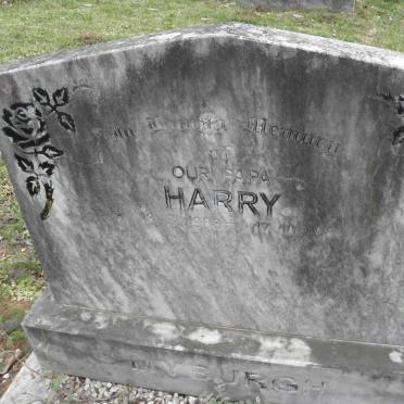 MYBURGH Harry 1908-1984