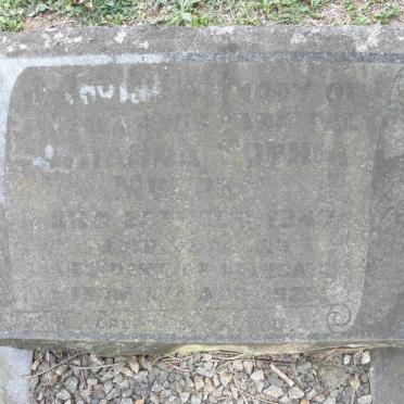 MURPHY Anna Sophia 1847-1923