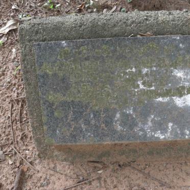 ? Alexander Hugh 1879-1970