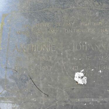 NEVELING Anthonie 1907-1987 &amp; Johanna 1912-1988 :: NEVELING Tony 1933-1989