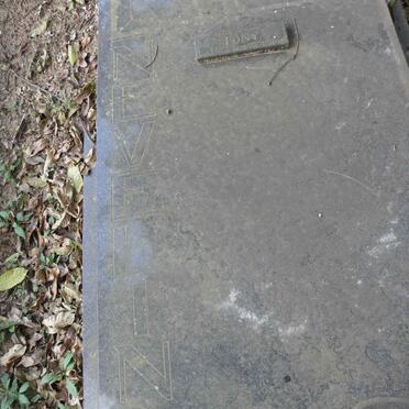 NEVELING Anthonie 1907-1987 &amp; Johanna 1912-1988 :: NEVELING Tony 1933-1989