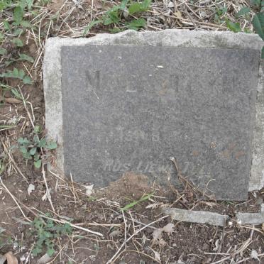 STEYN Mike 19?8-198?