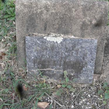 T - Vanne :: Surnames - T