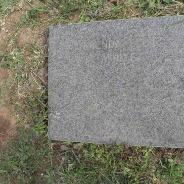 WHITE Brend Elise 1897-1987