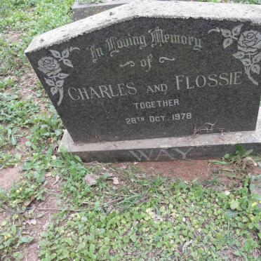 W - Surnames :: Vanne - W