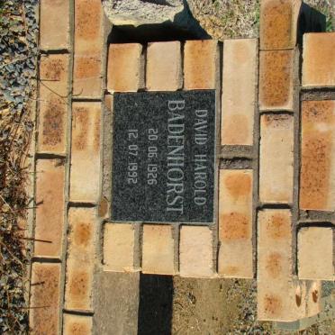 BADENHORST David Harold 1926-1992