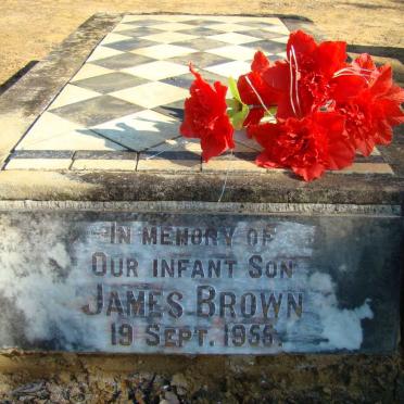 BROWN James 1955-1955