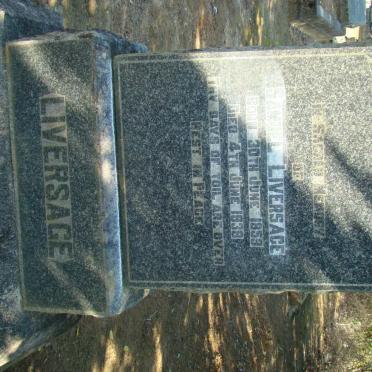 L - Vanne :: Surnames - L