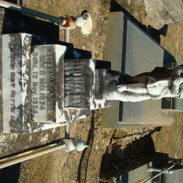 N - Vanne :: Surnames - N