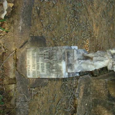 STRYDOM Erica Mavis 1926-1929