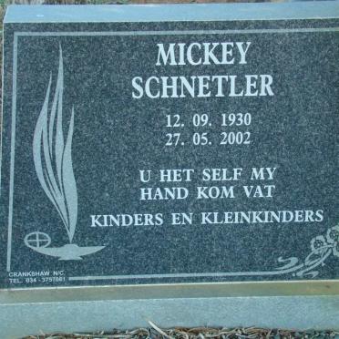 S - Surnames :: Vanne - S