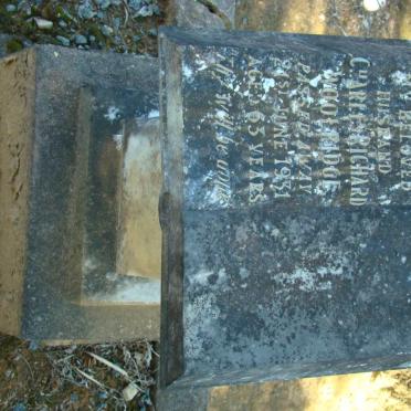 WOOLRIDGE Charles Richard -1931