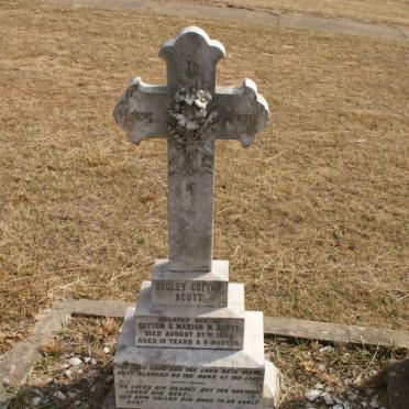 A - Surnames :: Vanne - A