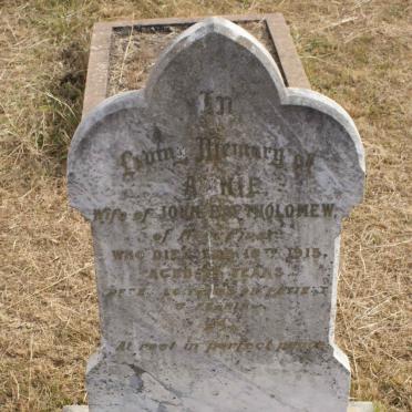 BARTHOLOMEW Annie -1915