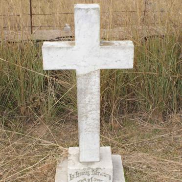 BLACK Elizabeth -1911