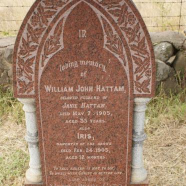 HATTAM :: HATAM :: CATO