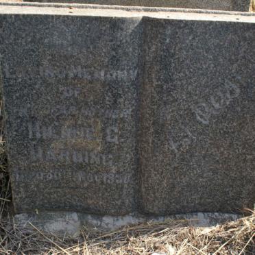 HARDING Hilarie G. -1850